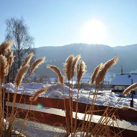 Stylish Apartment In Itter With Private Terrace Apartment *
